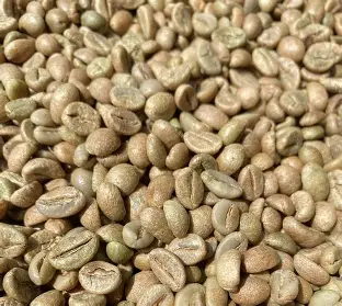 FAQ Robusta
